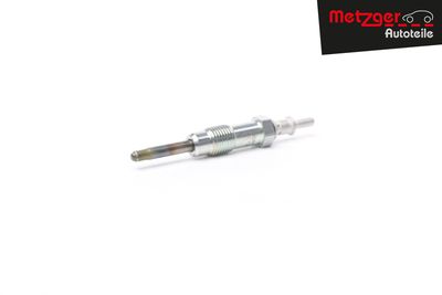 BUJIE INCANDESCENTA METZGER AUTOTEILE H1738 34