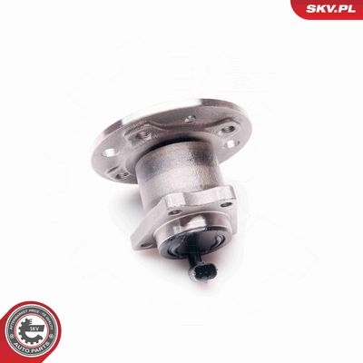 SET RULMENT ROATA ESEN SKV 29SKV113 2