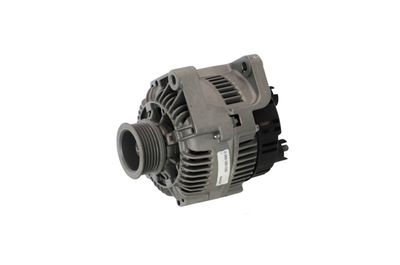 GENERATOR / ALTERNATOR REMANTE 011003000424R 65