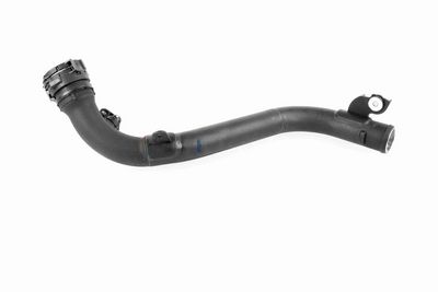 FURTUN EAR SUPRAALIMENTARE ACKOJA A380387 5