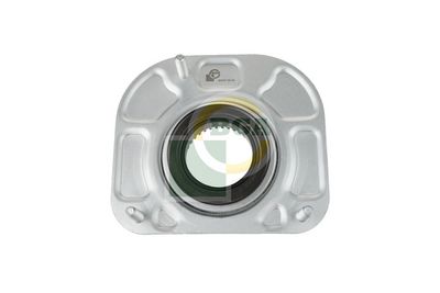 RULMENT SARCINA SUPORT ARC