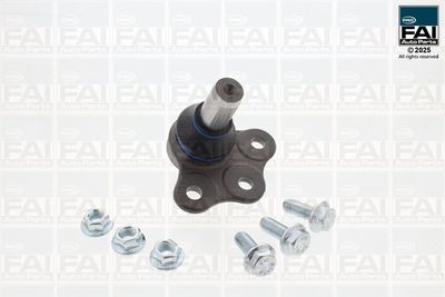 Шарнири FAI AutoParts FPBJ0625