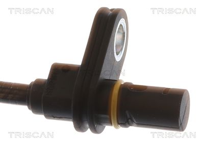 SENZOR TURATIE ROATA TRISCAN 818010321 1
