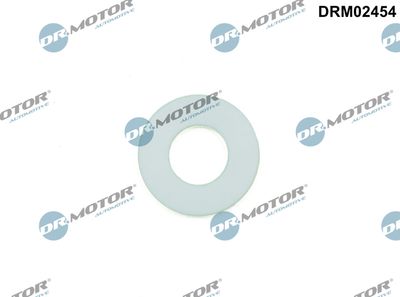 Uszczelka, przewód paliwowy DR.MOTOR AUTOMOTIVE DRM02454