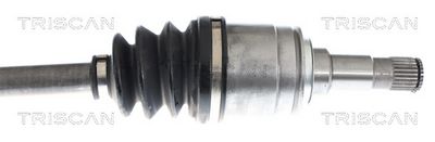 PLANETARA TRISCAN 854011614 2