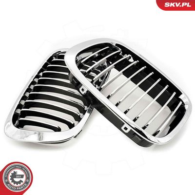 GRILA RADIATOR ESEN SKV 66SKV063 1