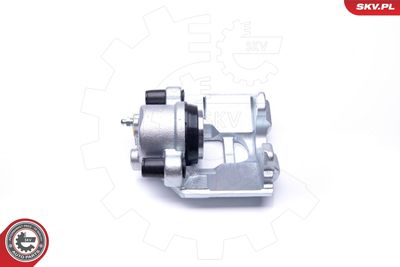 Brake Caliper 42SKV622