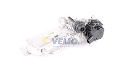 SUPAPA EGR VEMO V10630048 31
