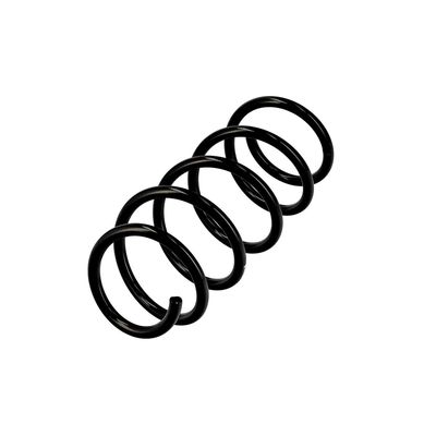 ARC SPIRAL EIBACH R10116 3