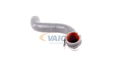 FURTUN EAR SUPRAALIMENTARE VAICO V460823 19