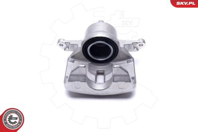 Brake Caliper 46SKV982