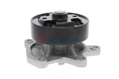 POMPă DE APă RăCIRE MOTOR ACKOJA A380701 51