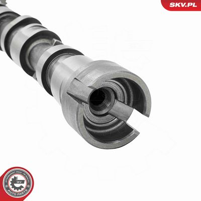 AX CU CAME ESEN SKV 80SKV064 3