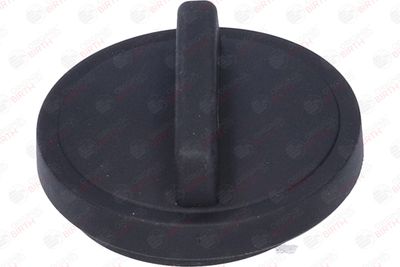 BUSON UMPLERE ULEI BIRTH 8053 4