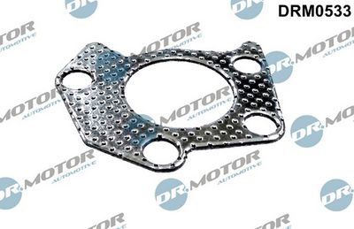 DICHTUNG ABGASKRüMMER