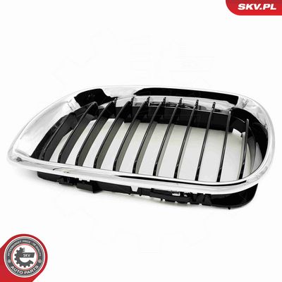 GRILA RADIATOR ESEN SKV 66SKV079 9