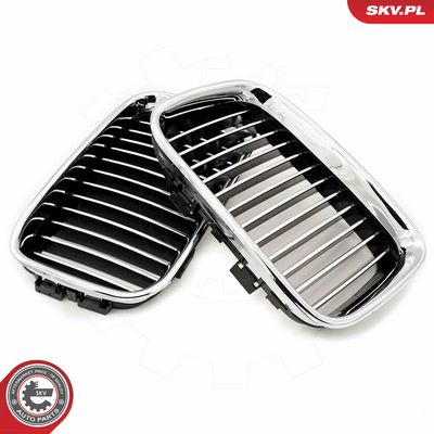 GRILA RADIATOR ESEN SKV 66SKV044 1
