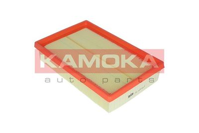 Air Filter F224301