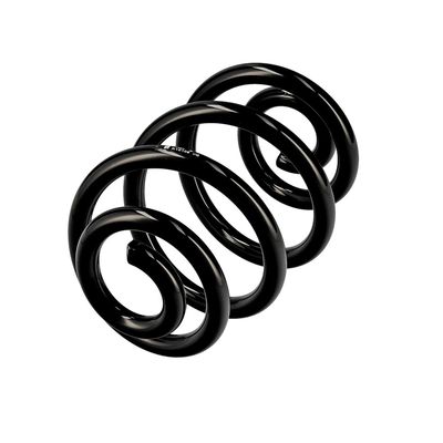 ARC SPIRAL EIBACH R10106 3