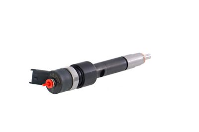 INJECTOR REMANTE 002003001133R 33