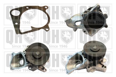 Водяной насос, охлаждение двигателя QUINTON HAZELL QCP3564 для ROVER 75