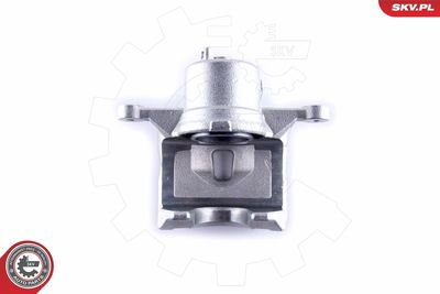 Brake Caliper 55SKV272