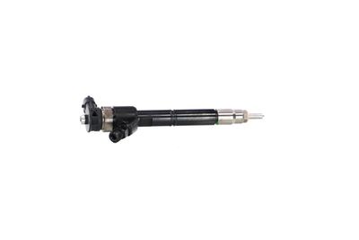 INJECTOR REMANTE 002003002220R 36