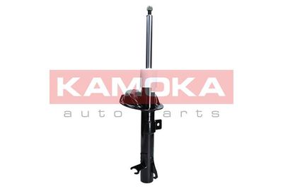 Shock Absorber 2000133