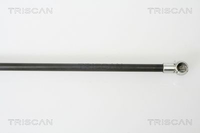 AMORTIZOR PORTBAGAJ TRISCAN 871050243 2