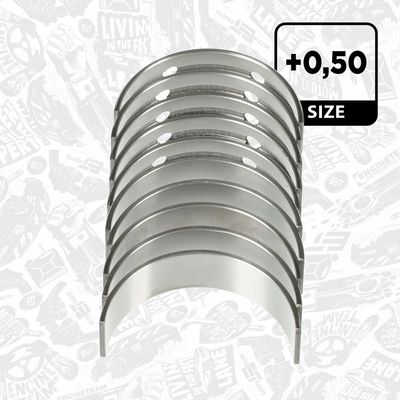 SET RULEMT ARBORE COTIT