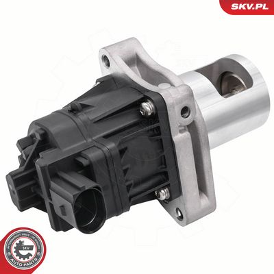 AGR-Ventil ESEN SKV 14SKV297
