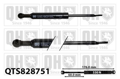 газов амортисьор, задно стъкло QUINTON HAZELL QTS828751