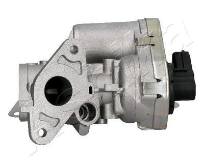 EGR Valve 150-0L-L05