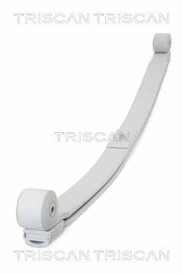TRISCAN Federnpaket