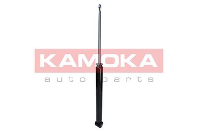 Shock Absorber 2001023