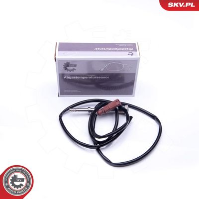 Sensor, Abgastemperatur