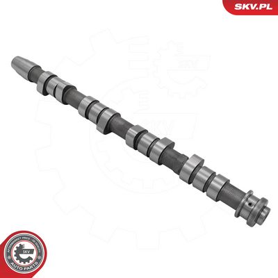 AX CU CAME ESEN SKV 80SKV081 1