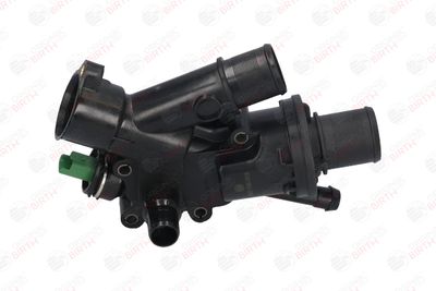 FLANSA LICHID RACIRE BIRTH 8889 1