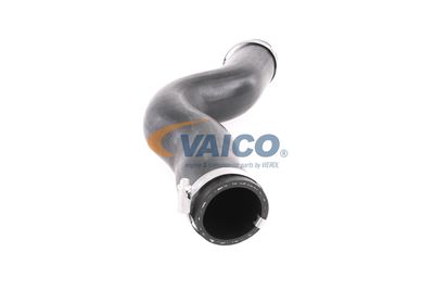 FURTUN EAR SUPRAALIMENTARE VAICO V401448 49