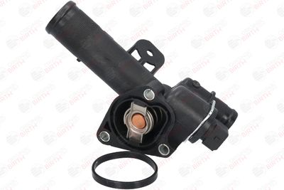 FLANSA LICHID RACIRE BIRTH 81036 8