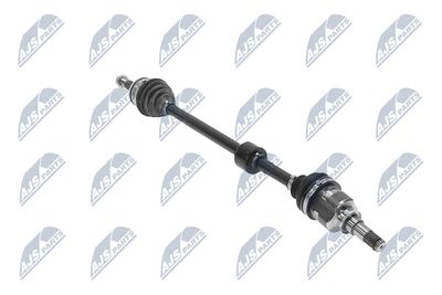 PLANETARA NTY NPWTY250 31