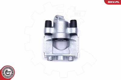 Brake Caliper 50SKV233