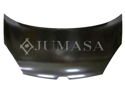 Капот двигателя JUMASA 05034033 для RENAULT KANGOO