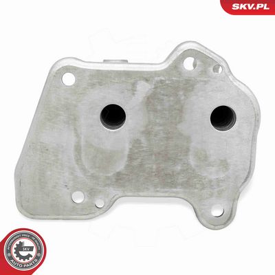 RADIATOR ULEI ULEI MOTOR ESEN SKV 31SKV346 2