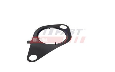 GARNITURA VENTIL AGR FAST FT13434 1