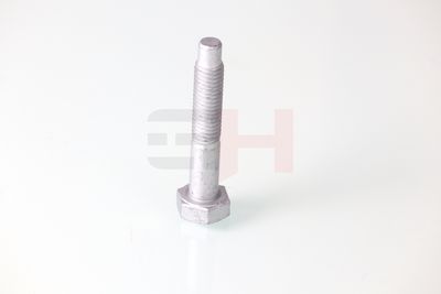 SURUB CLEMA ARTICULATIE SARCINA/GHIDARE