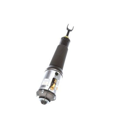 LUFTFEDERBEIN Arnott AS2561 71