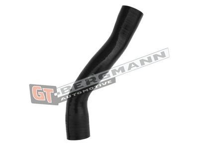 GT-BERGMANN Automotive Kompresoriaus padavimo žarna