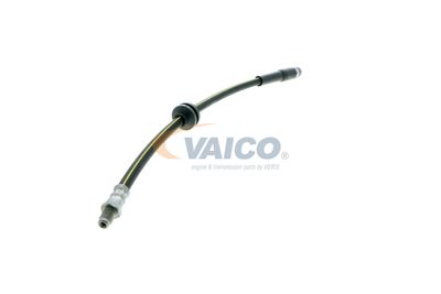 FURTUN FRANA VAICO V220627 41