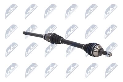 PLANETARA NTY NPWCT107 10